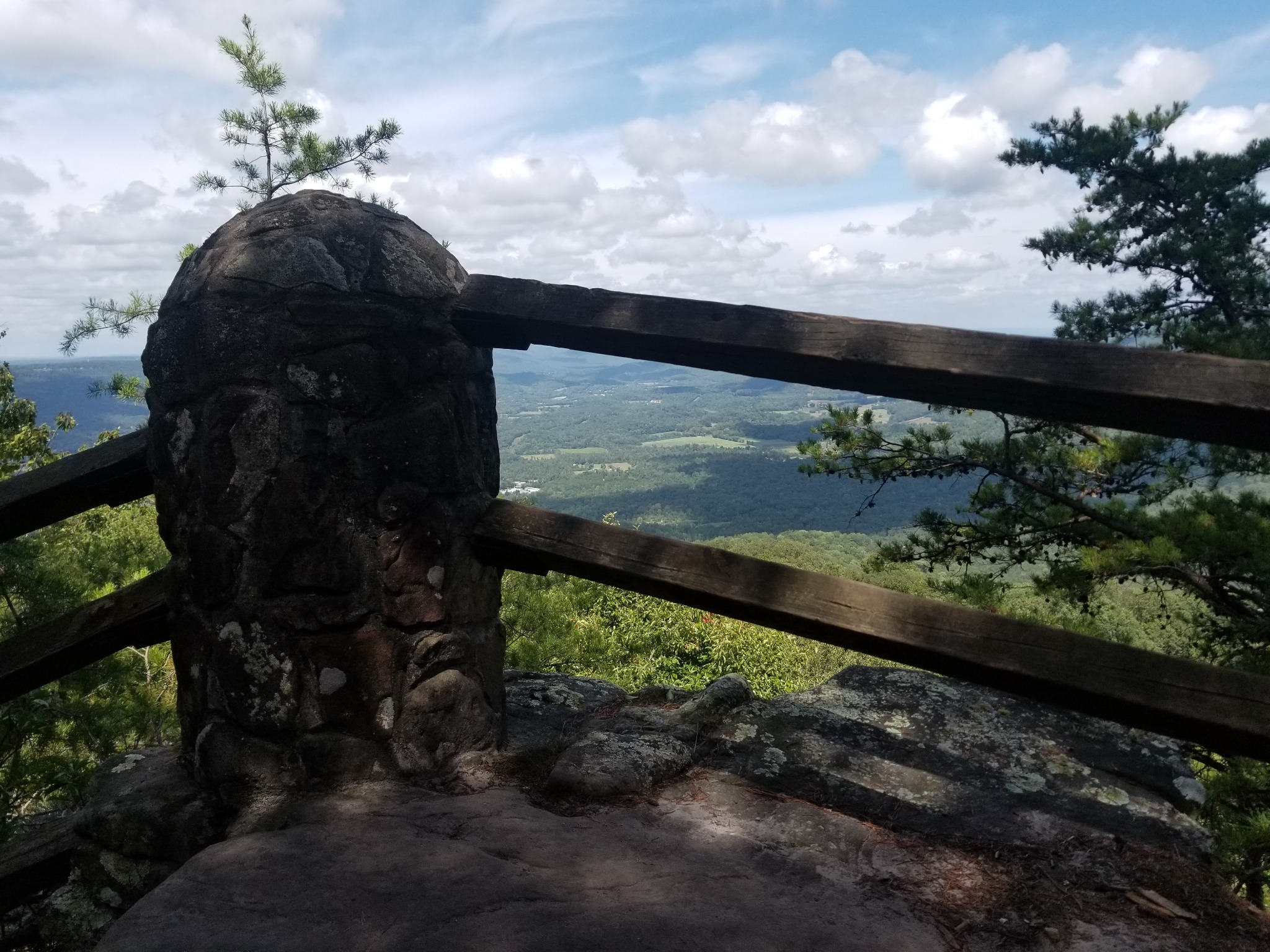 Wooden overlook railing framing the wooded valley at Cloudland Canyon
