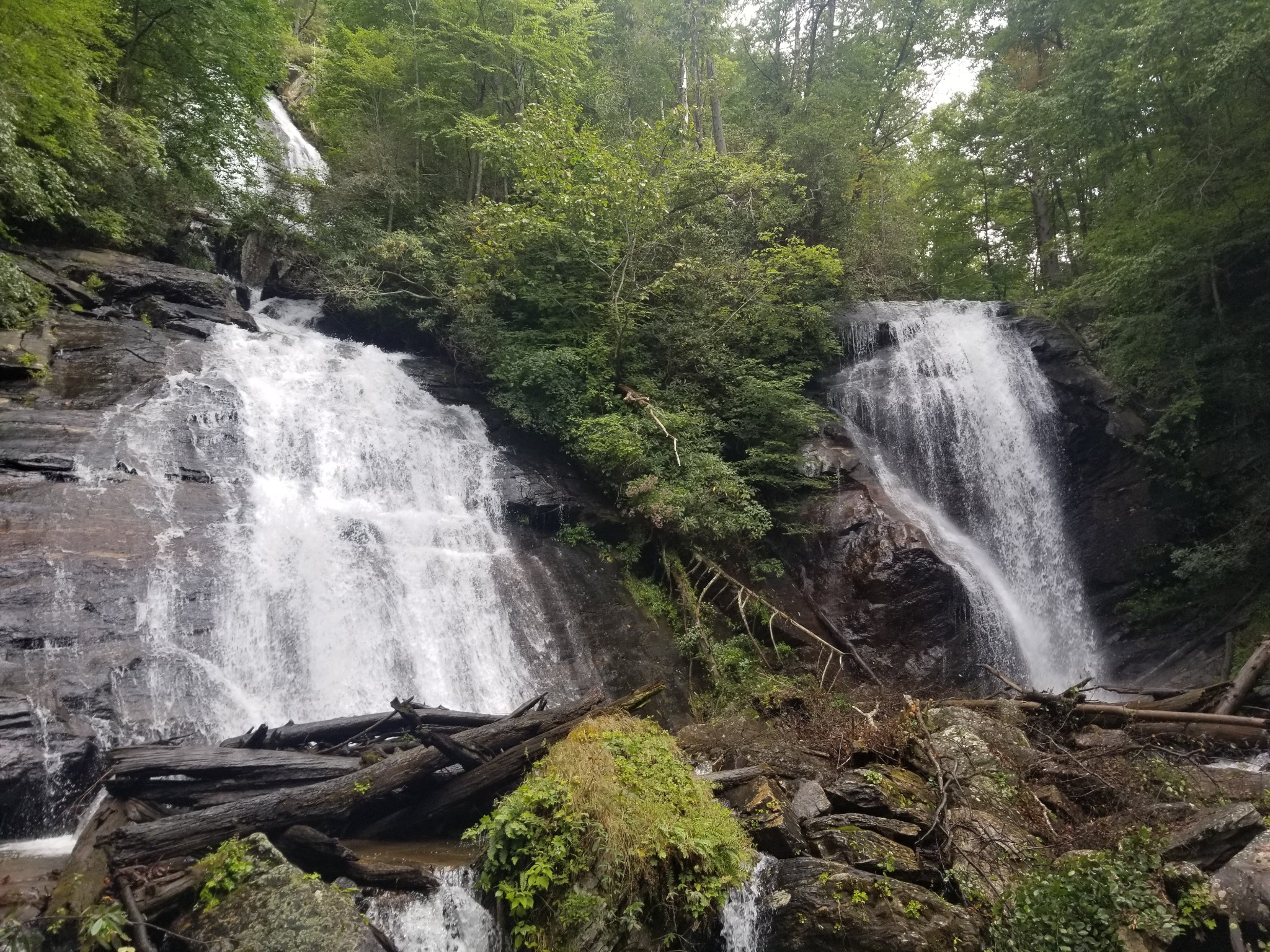 Twin cascades at Anna Ruby Falls surrounded by forest