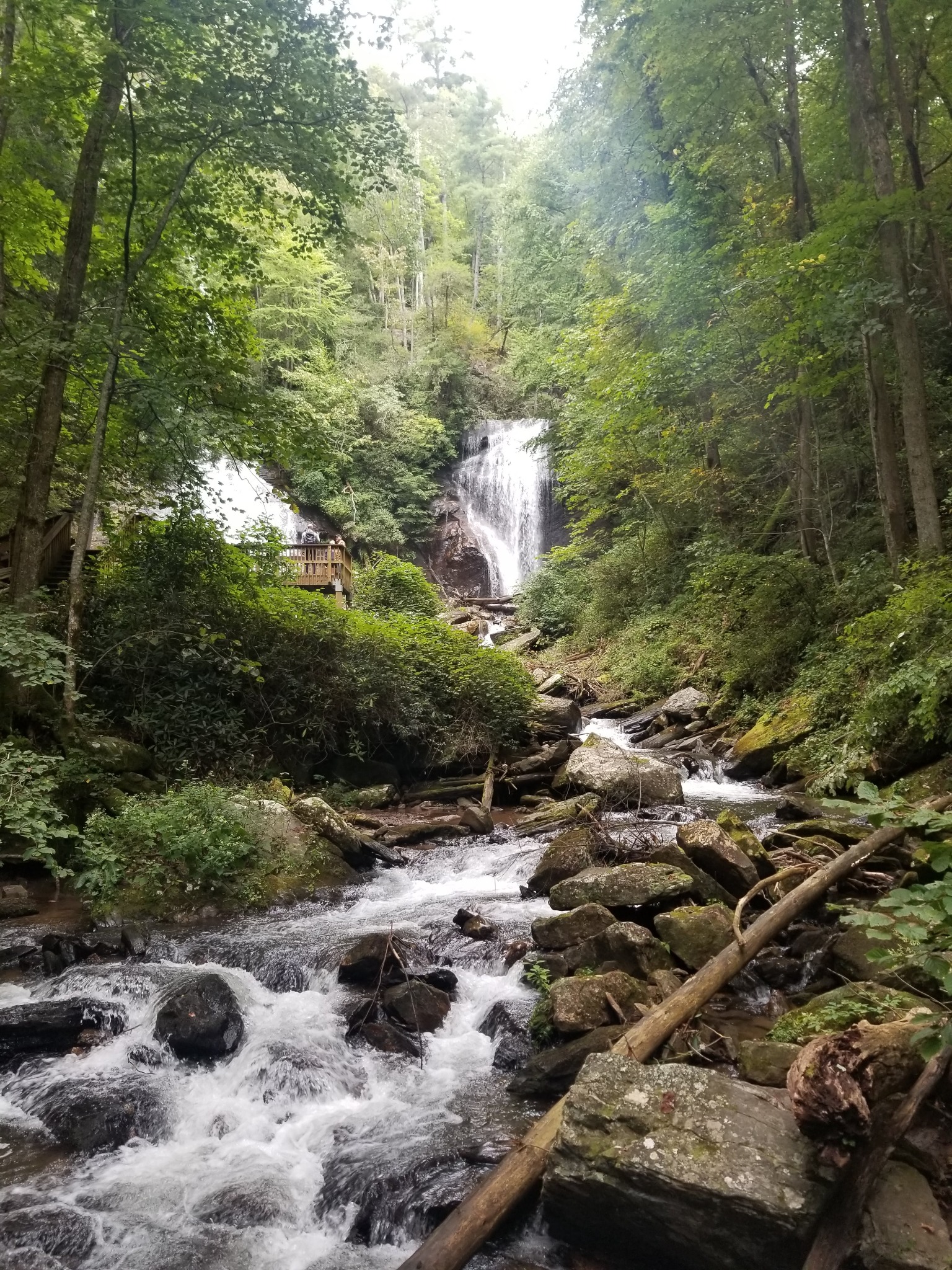 Stream and waterfall viewed through trees at Anna Ruby Falls