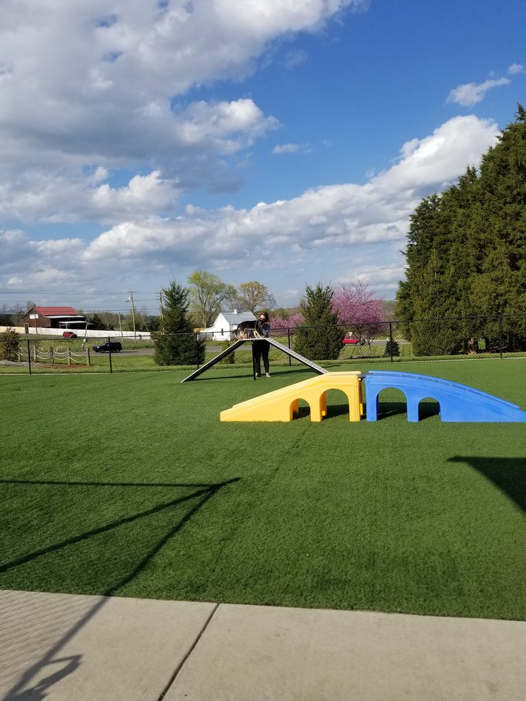 Anchor Down RV Resort Dog Park
