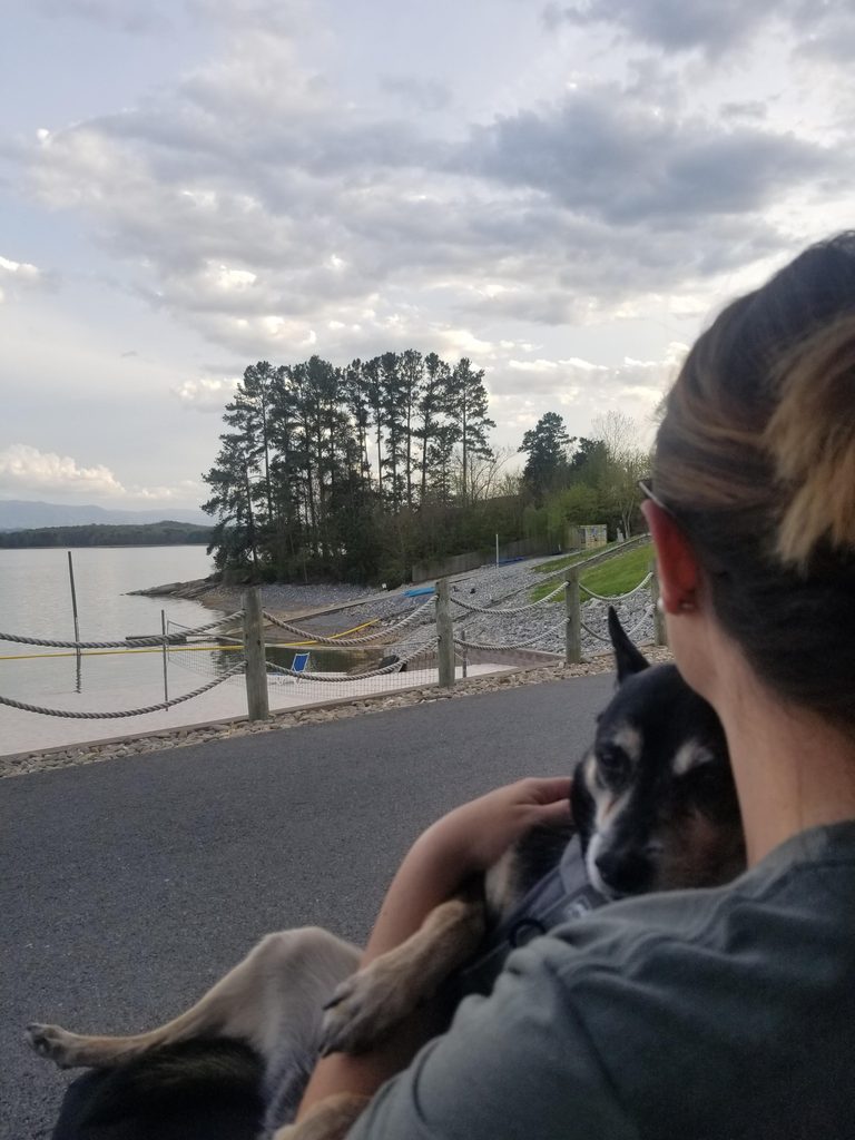 Douglas Lake waterfront and mountain views at Anchor Down RV Resort in Tennessee with dog