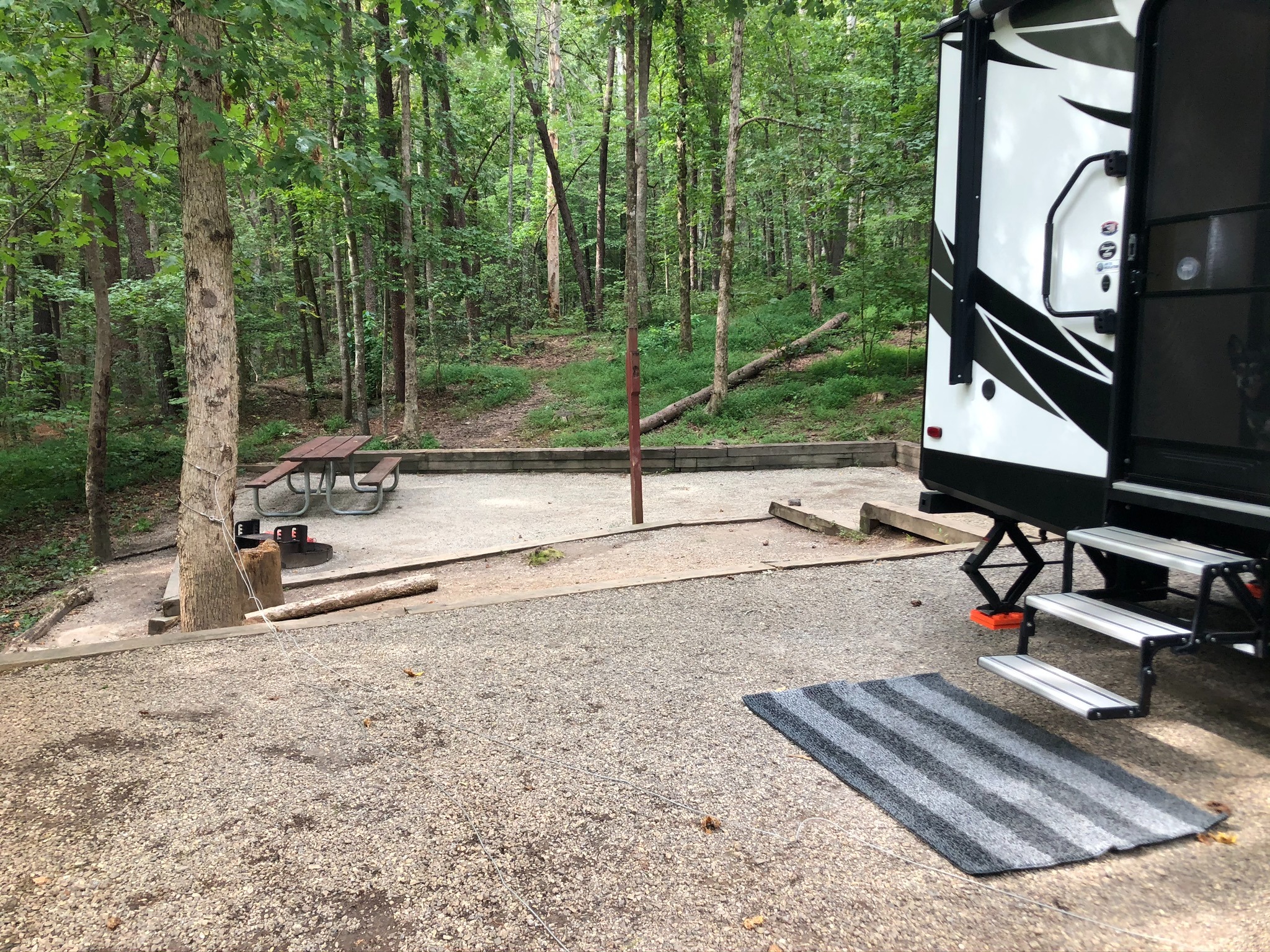 Our RV beside a picnic table and fire ring in a wooded Unicoi State Park campsite